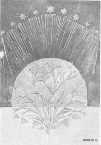 Рис. 33